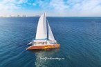 Delfines + Catamaran Isla Mujeres
