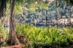 Aventura Cenotes