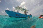 Cozumel Snorkel con Tortugas y El Cielo