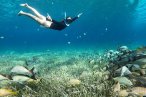 El Cielo Palancar y Colombia Snorkel en Lancha