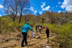 Oaxaca: Santiago Apoala y cascadas de la Mixteca