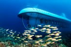 Cozumel Submarino