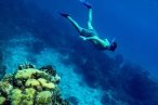 El Cielo Palancar y Colombia Snorkel en Lancha