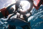 Cozumel Snorkel con Tortugas y El Cielo