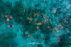 Kuza Park Cozumel