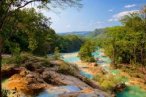 ✿ Chiapas: Visita Palenque: Cascadas de Agua Azul, Misol-Há y Zona Arqueológica
