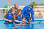 Desde los CABOS Cabo Dolphins