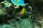 El Cielo Palancar y Colombia Snorkel en Lancha