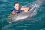 Delfines en Chankanaab Cozumel