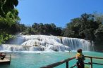 ✿ Chiapas: Visita Palenque: Cascadas de Agua Azul, Misol-Há y Zona Arqueológica