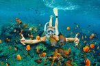Cozumel Tour Lancha Transparente