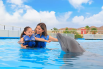 Desde los CABOS Cabo Dolphins