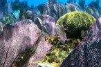 Cozumel Snorkel con Tortugas y El Cielo