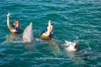 Delfines en Chankanaab Cozumel