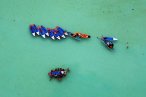 Bacalar Tour de Paddle o Kayak al Amanecer con Picnic Flotante