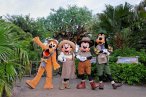 ☆ Disney: Animal Kingdom