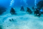 Desde los CABOS Buceo Scuba en Cabo