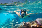 Cozumel en Jeep