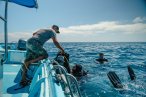 Desde los CABOS Buceo en Cabo Pulmo