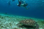 El Cielo Palancar y Colombia Snorkel en Lancha