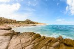 Desde los CABOS Expedición de Snorkel en Cabo Pulmo