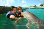 Delfines en Chankanaab Cozumel