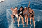 Cozumel Tour Lancha Transparente