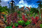 ☆ Disney: Animal Kingdom