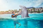 Delfines + Garrafon Isla Mujeres