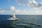 Isla Mujeres Catamaran Club Albatros