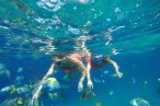 Desde los CABOS Balandra y Playas Ocultas