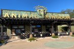 ☆ Disney: Animal Kingdom