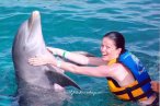 Delfines en Chankanaab Cozumel