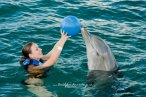 Delfines en Chankanaab Cozumel