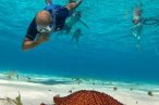Cozumel Snorkel con Tortugas y El Cielo