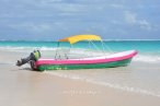 Tulum Mar y Tierra