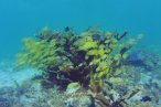 Contoy e Isla Mujeres