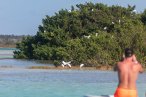 Bacalar Tour en pontón de 3 horas con acceso al club de playa y kayaks gratis