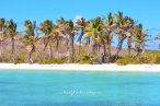 Contoy con parada en Isla Mujeres