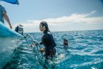 Desde los CABOS Buceo en Cabo Pulmo