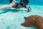 El Cielo Palancar y Colombia Snorkel en Lancha