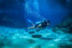 Desde los CABOS Buceo Scuba en Cabo