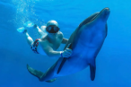 Desde los CABOS Cabo Dolphins