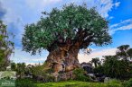 ☆ Disney: Animal Kingdom