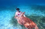 El Cielo Palancar y Colombia Snorkel en Lancha