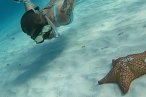 Cozumel Snorkel con Tortugas y El Cielo