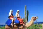 Desde los CABOS Safari en el Outback y en Camello
