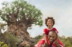 ☆ Disney: Animal Kingdom