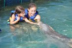 Delfines en Chankanaab Cozumel