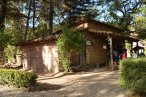 Oaxaca: Sierra Juárez, Ixtlán y Capulálpam